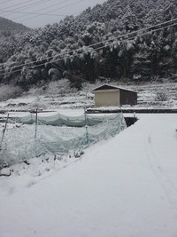 20170123_084051