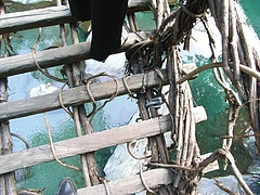 RIMG0956