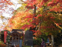 DSCN0771