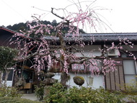 20170318_153851