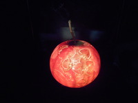 DSCN0440