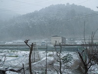 DSCN9893