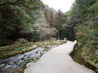 DSCN5667
