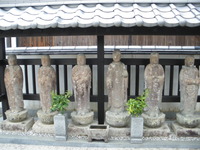 IMGP2234