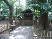 RIMG0284