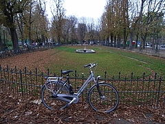 RIMG1166