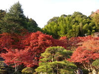 20141121_152734
