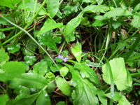 DSCF7491