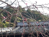 20150227_165715