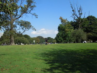 DSCN9857