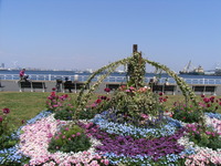 RIMG0001