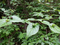 20160531_130547
