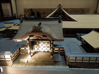 DSCN8516