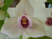 DSCN4694
