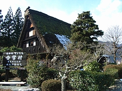 RIMG0007