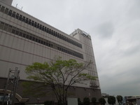 DSCN8254