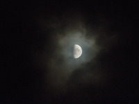 DSCN9519