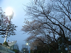 RIMG0314