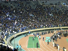 RIMG0231