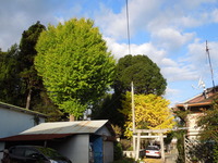 DSCN1219