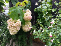 20160621_120908