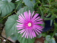 20160527_154813