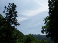 DSCF7616