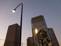 DSCN3656