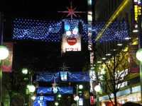 IMGP1212