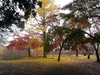 20141125_085441