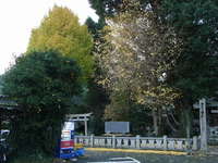 RIMG1344