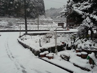 20170123_073204