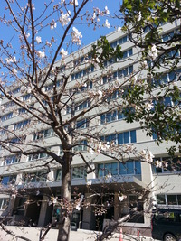 20150325_095754