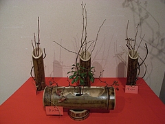 RIMG0575