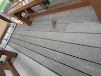 DSCN0527