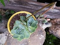 20160531_181936