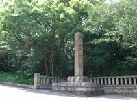 RIMG0259