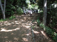 DSCN0383
