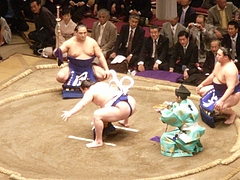 RIMG0059