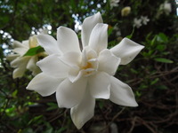 DSCN9463