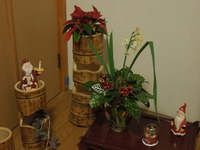 DSCN2362
