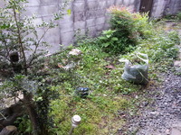 20150728_055721