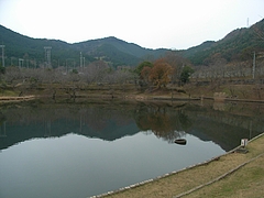 RIMG0361