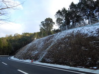 DSCN9917