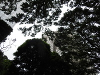 DSCN9315