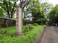 DSCN0541