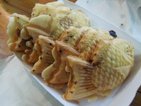 DSCN5593