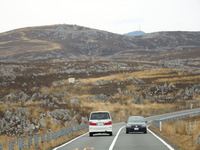 DSCN5779