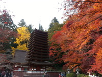 20141124_154003