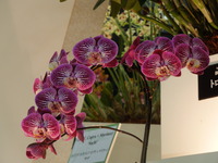 DSCN4669